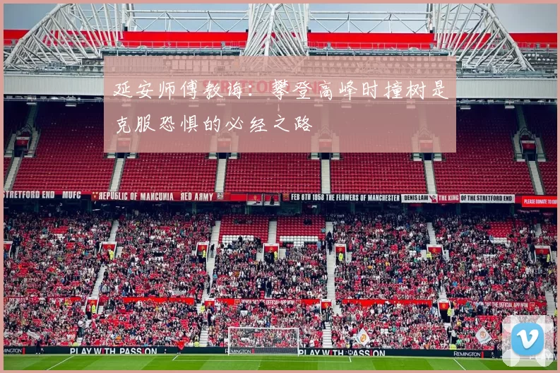 延安师傅教诲：攀登高峰时撞树是克服恐惧的必经之路